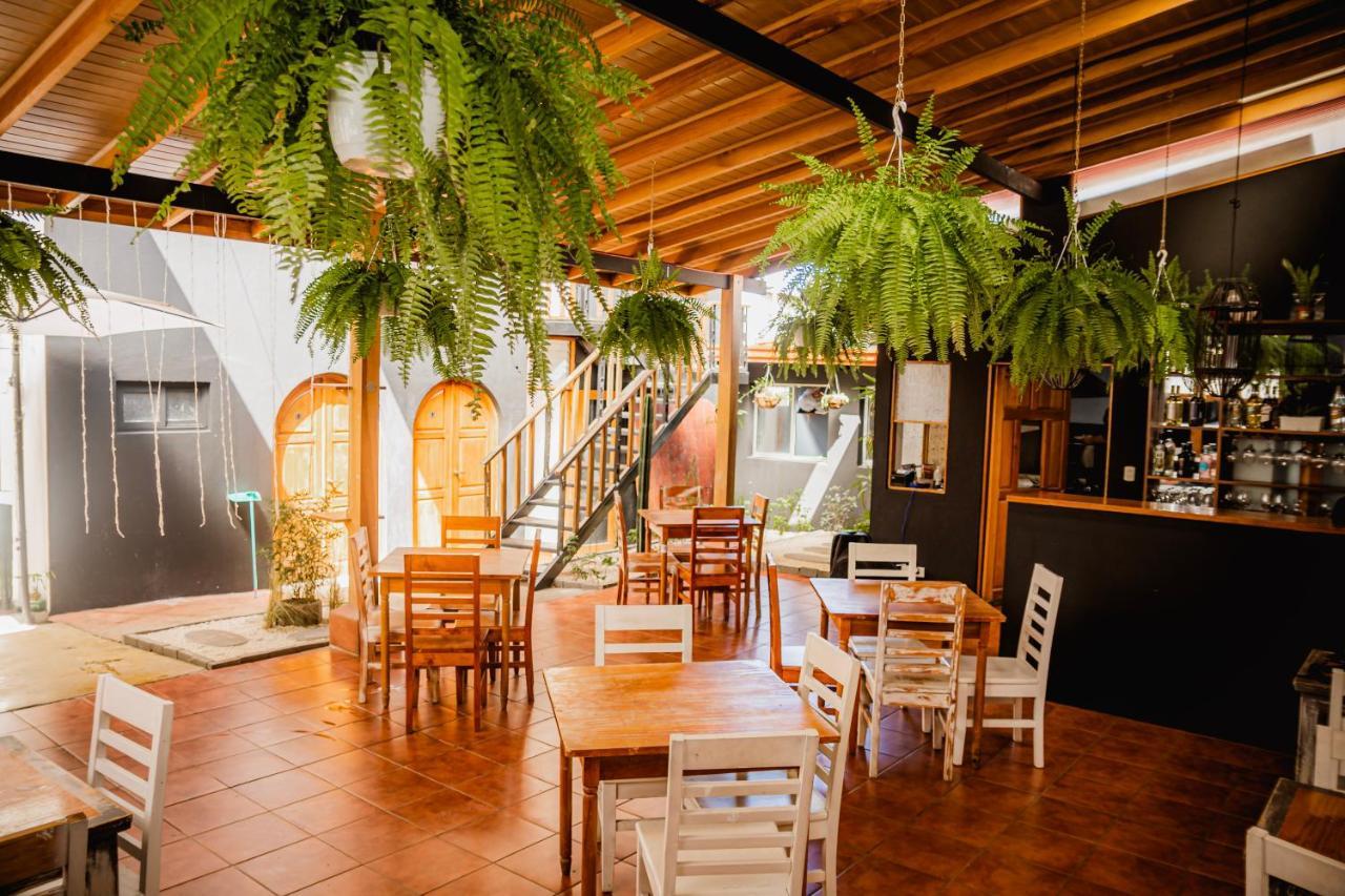 Luz De Luna Hotel Barrio Escalante ซานโฮเซ ภายนอก รูปภาพ