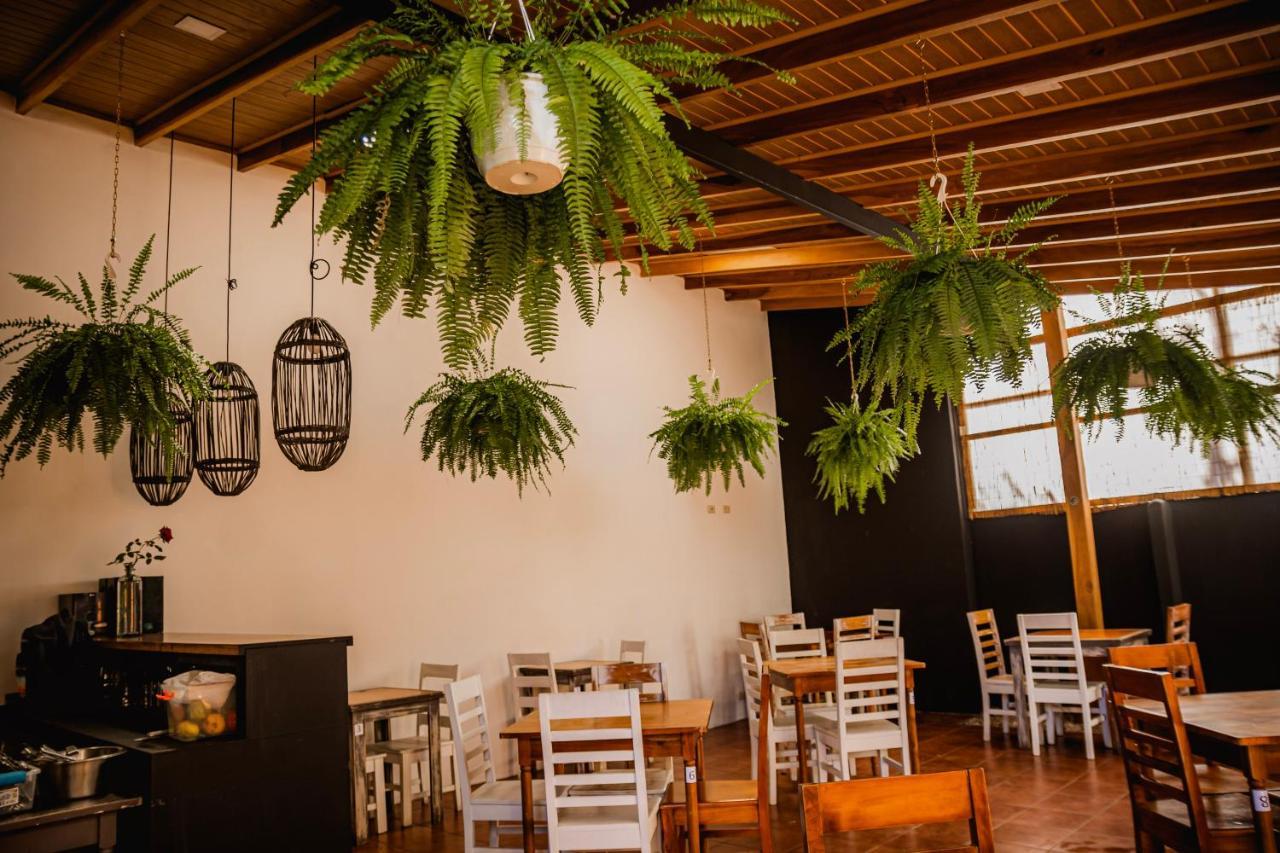 Luz De Luna Hotel Barrio Escalante ซานโฮเซ ภายนอก รูปภาพ